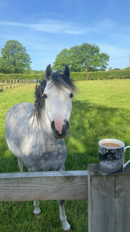 Morning Tea with the neighbour!